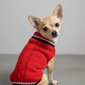 Red Cable Knit Dog Sweater